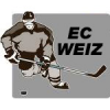 Logo EC Weiz